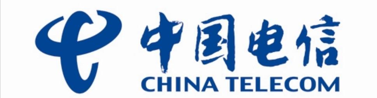 中国电信集团有限公司