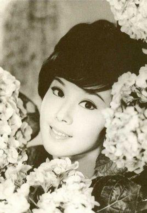 花好月圆
