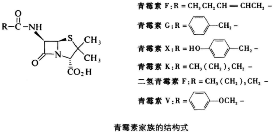 青霉素家族