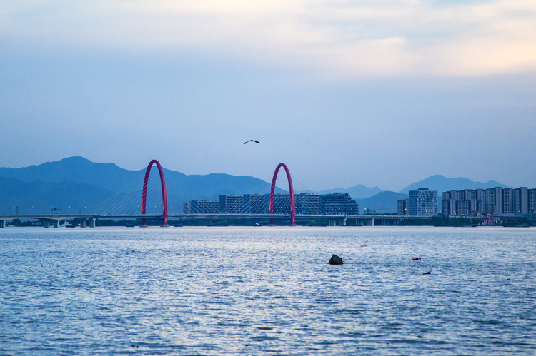 杭州市