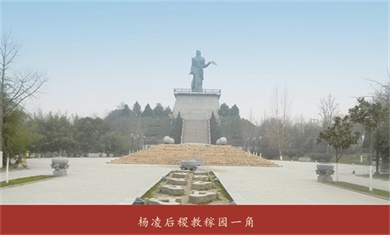 杨陵区