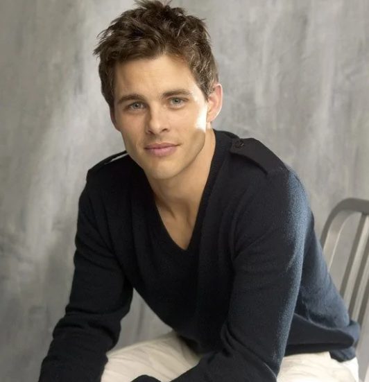 嗜血灰熊