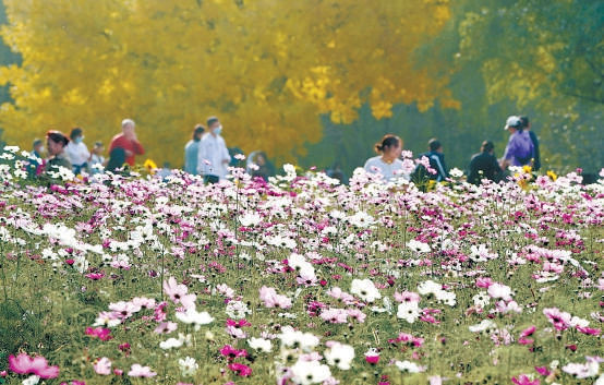 奥林匹克森林公园