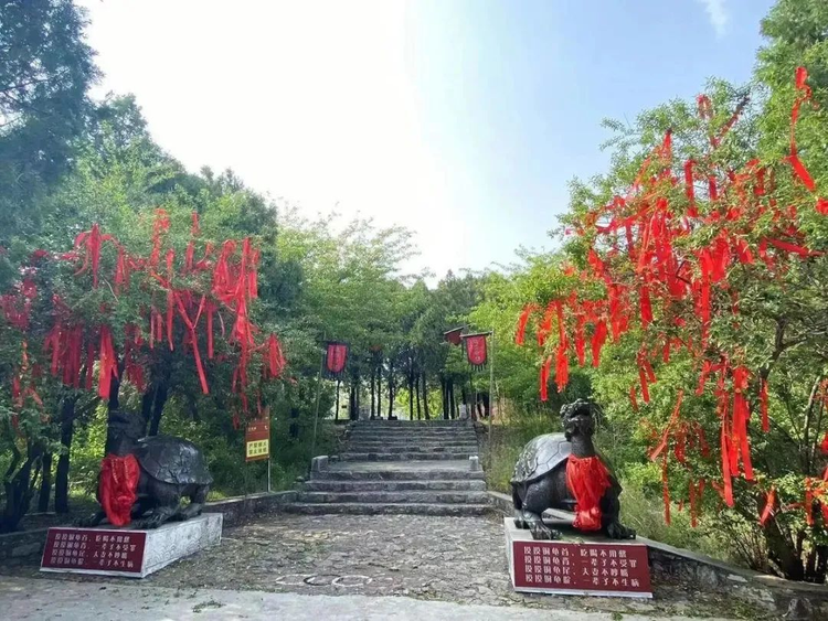 枣庄市