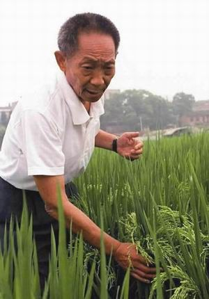 绿色革命