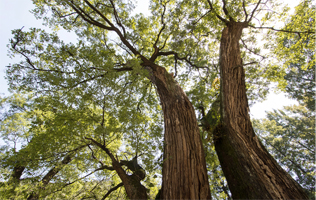 南五台风景名胜区