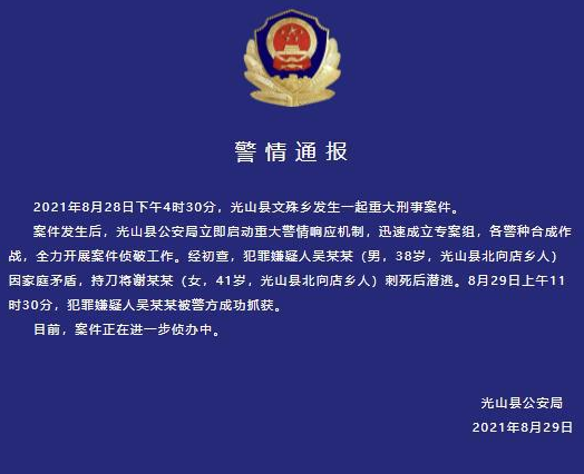 “8·28”光山重大刑事案