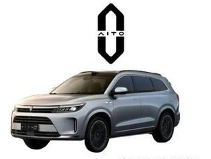 2024中国（武汉）第五届问题车展