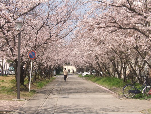 佐贺医科大学