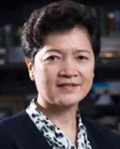 王立华