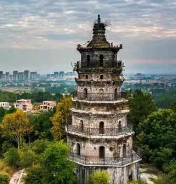 微信截图_20231006190052.jpeg