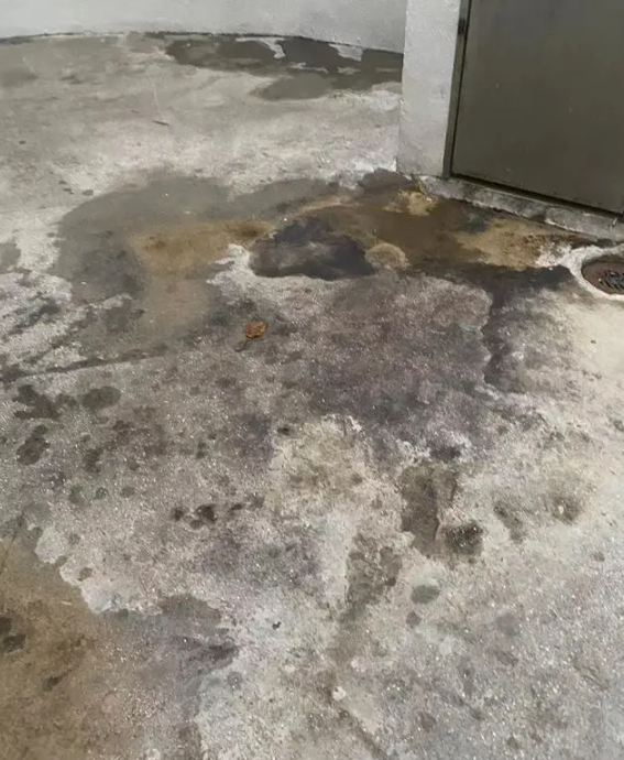 5·23女生留学新加坡蹊跷坠亡案