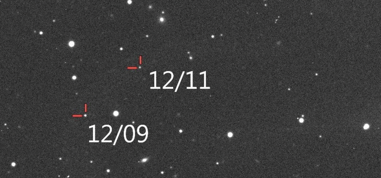 路德维希·凡·贝多芬