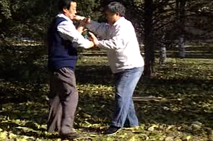 意拳