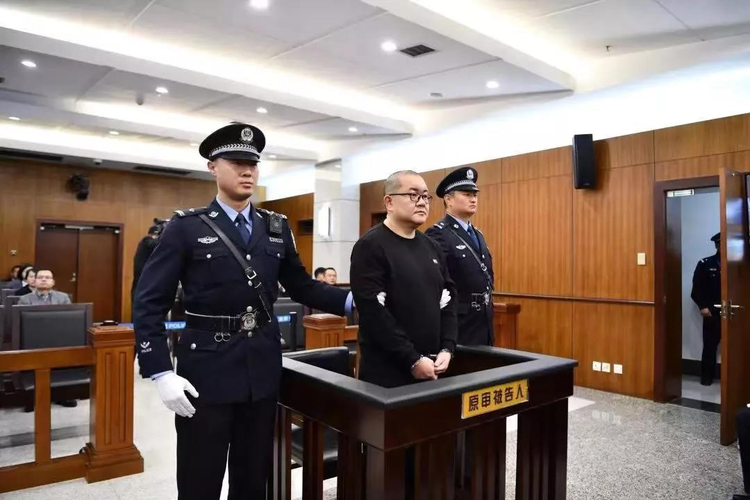 2019年度人民法院十大刑事案件