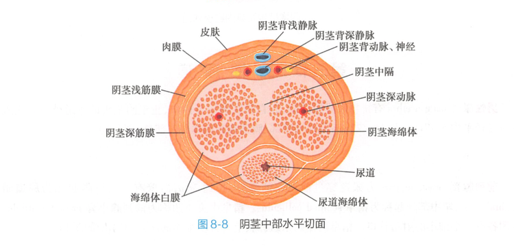 截屏2023-10-16 21.13.png