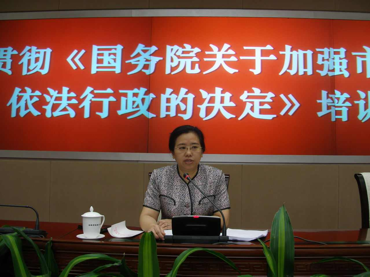 国务院关于全面推进依法行政的决定