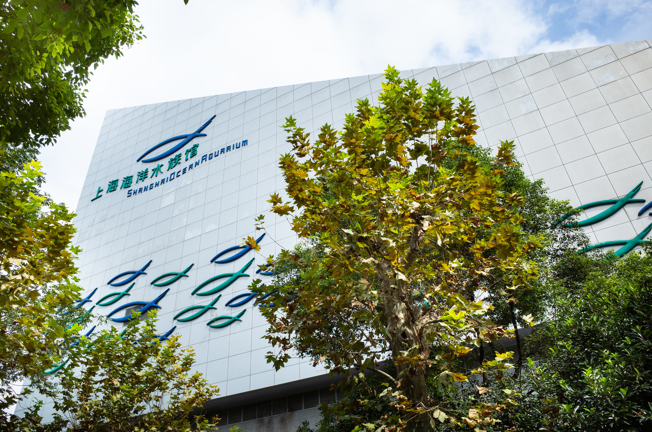 上海海洋水族馆