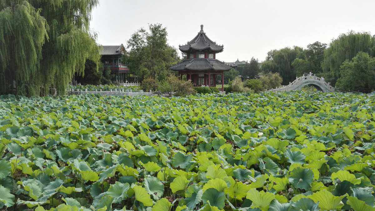 保定市