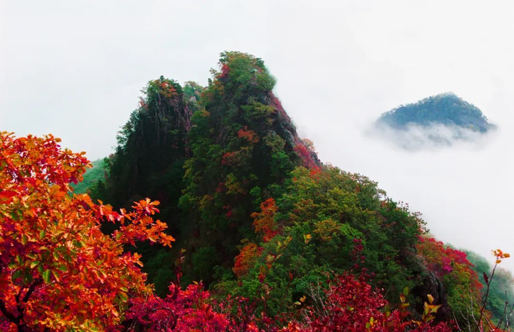 红叶谷风景区.jpeg