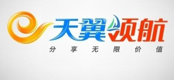 中国电信集团有限公司