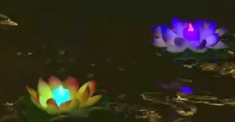 长荡湖