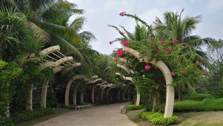 清水湾旅游度假区