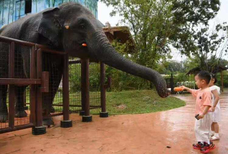 紫清湖野生动物世界