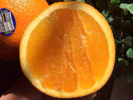 赣南脐橙