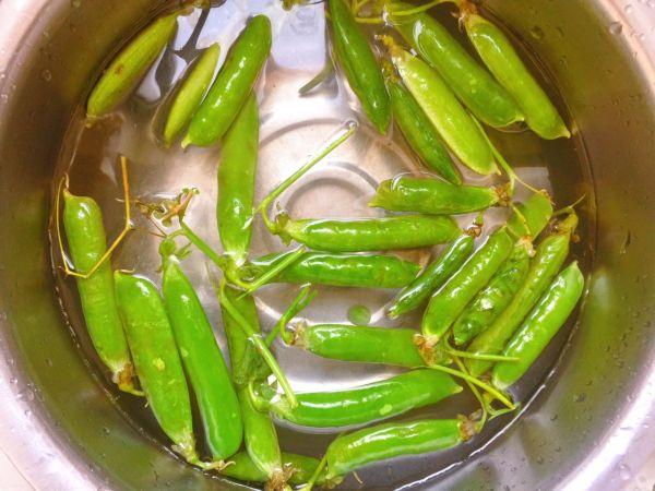 豌豆泥