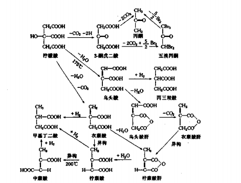 柠檬酸各分解产物转化过程图.png