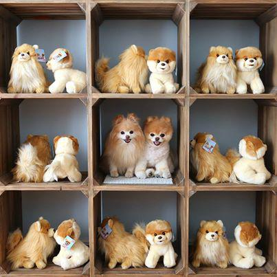 BOO（图源：台湾东森新闻云）