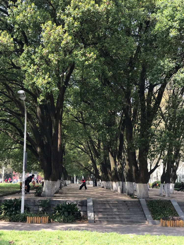 华中师范大学