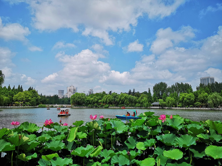 在蓝天白云的映衬下，楚秀园里的荷花格外美丽，人们纷纷划着小舟前来观赏，真是美景如画啊。
