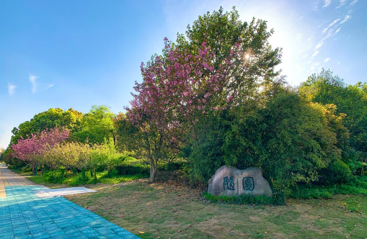 浙大宁波理工学院