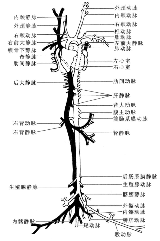 粘贴图片1-1694527075962.png