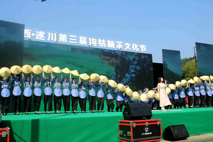 江西遂川第三届狗牯脑茶文化节举行 著名表演艺术家唐国强现场助阵