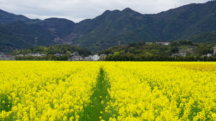温州科技职业学院