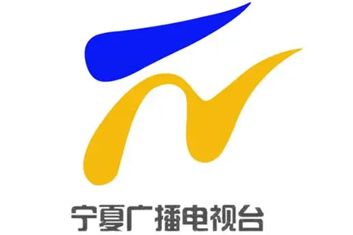 宁夏广播电视台.png