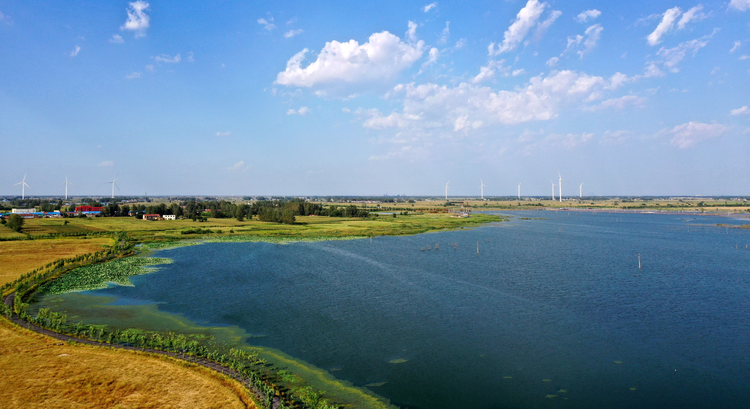 安徽蒙城：北淝河湿地风光如画 总面积达1367公顷