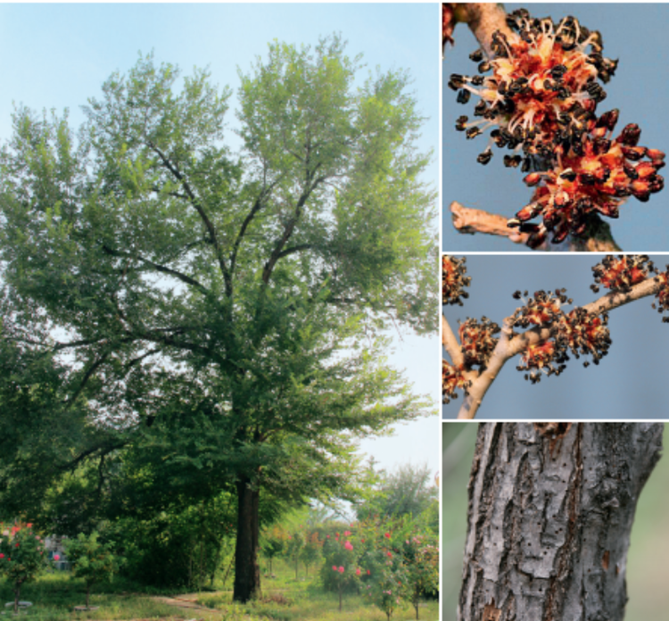 屏幕截图 2023-08-15 155029.png