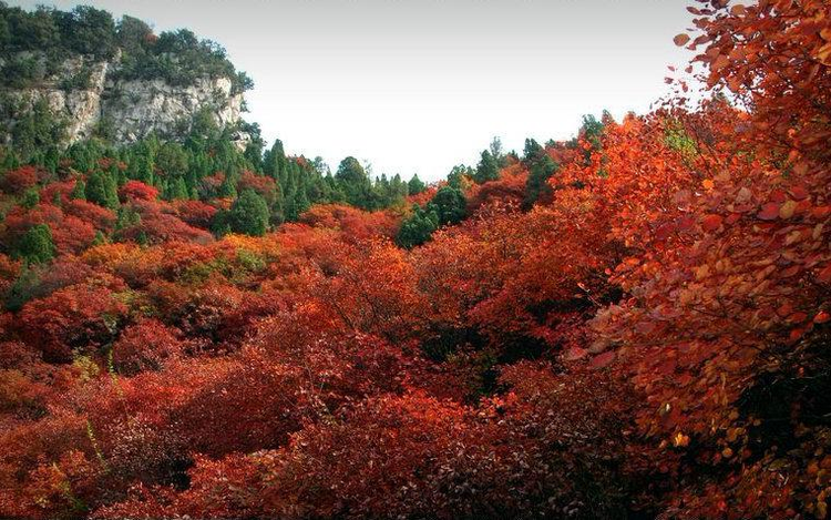凤凰山