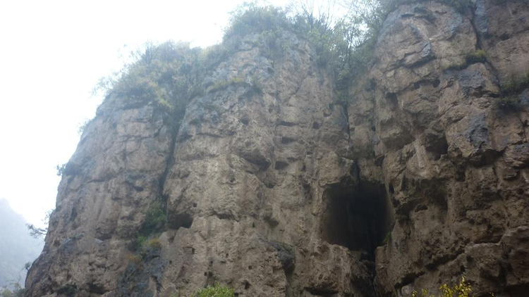 凌井沟自然保护区