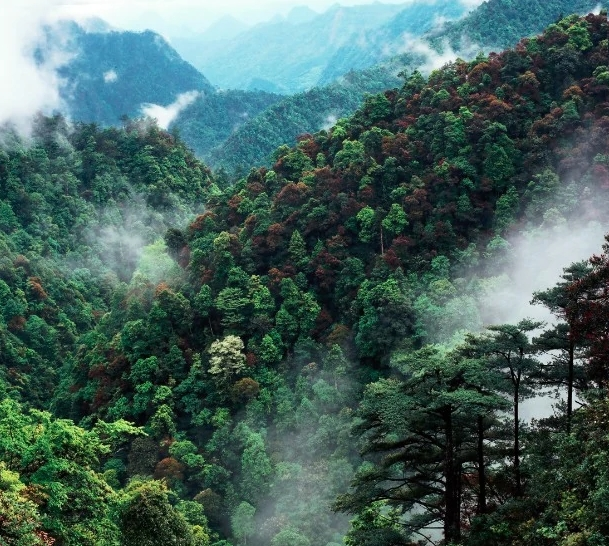 乳源瑶族自治县