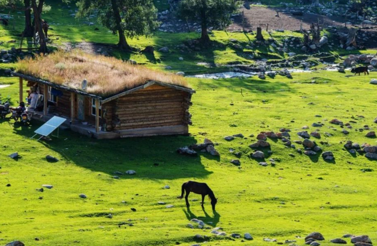 新疆维吾尔自治区