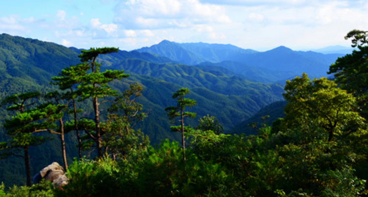 黎川县