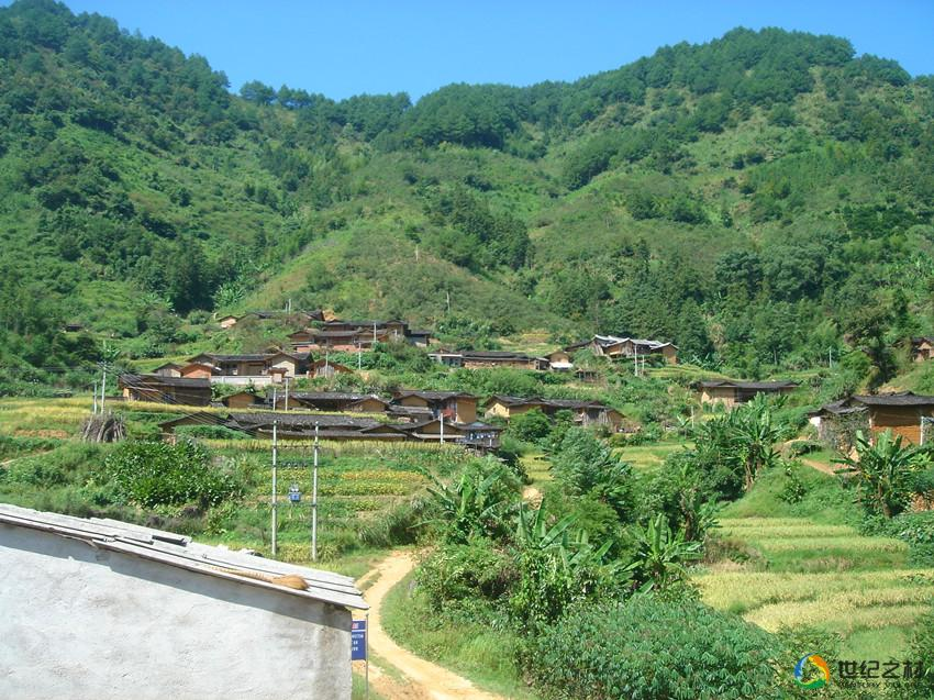 龙门村