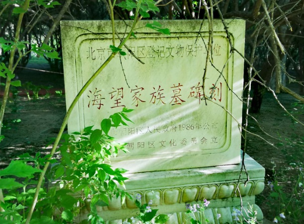 奥林匹克森林公园