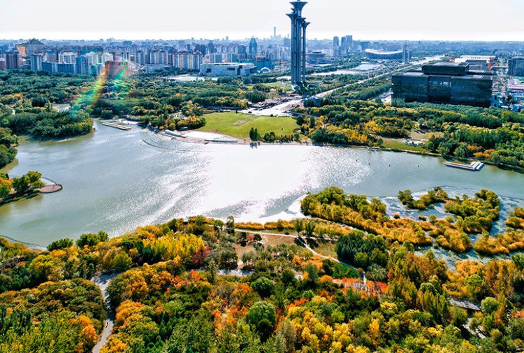 奥林匹克森林公园