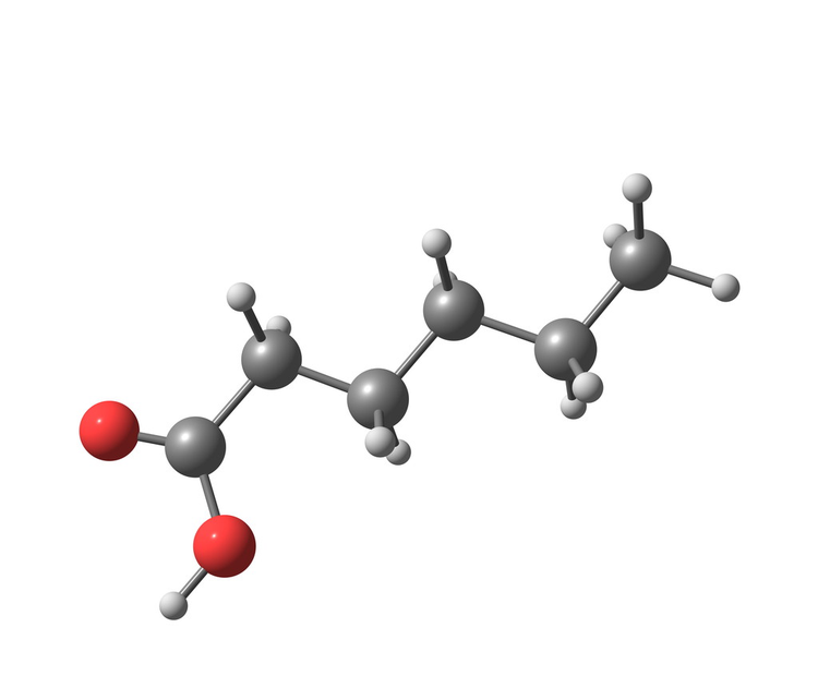 白细胞上分离的己二酸分子Hexanoic (caproic) acid molecule isolated on white